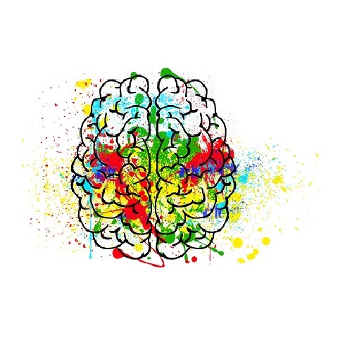 Colourful brain