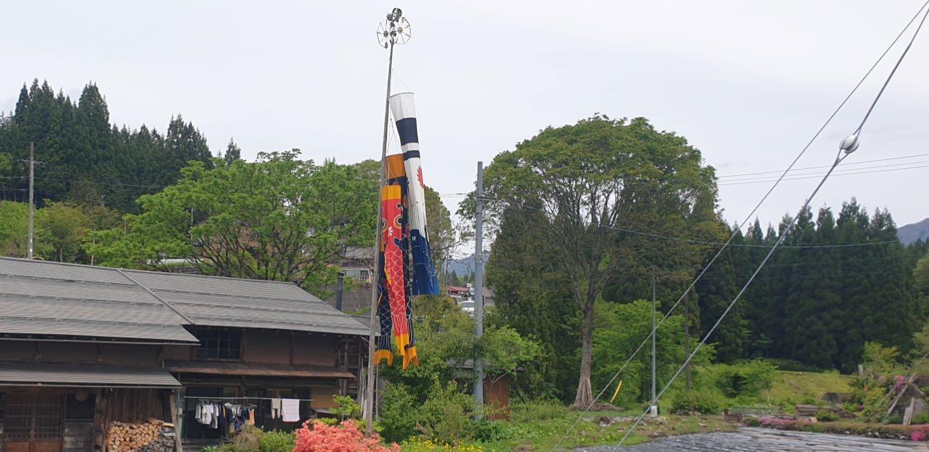 Koi flying in the countryside
