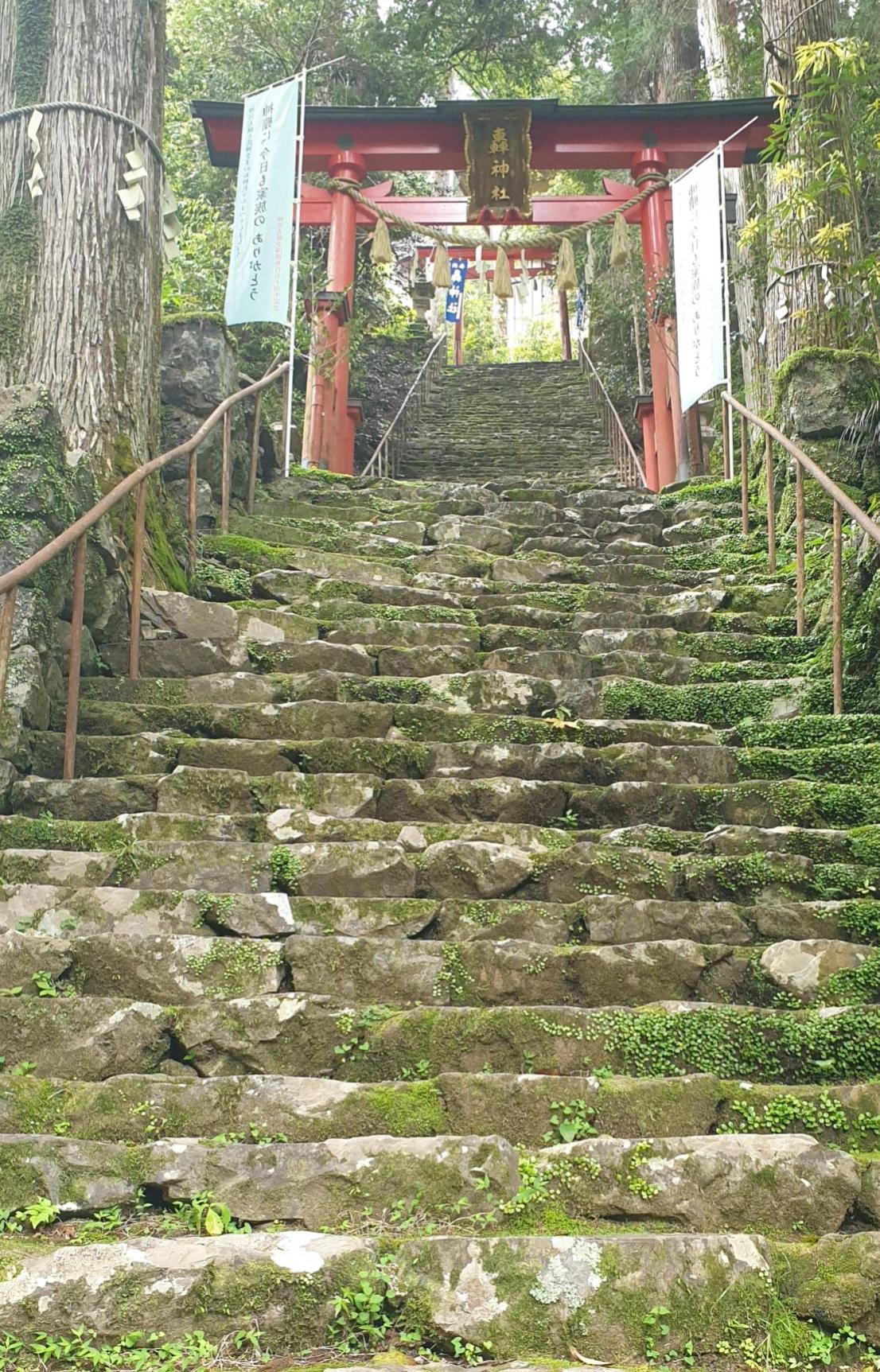 Mountain steps