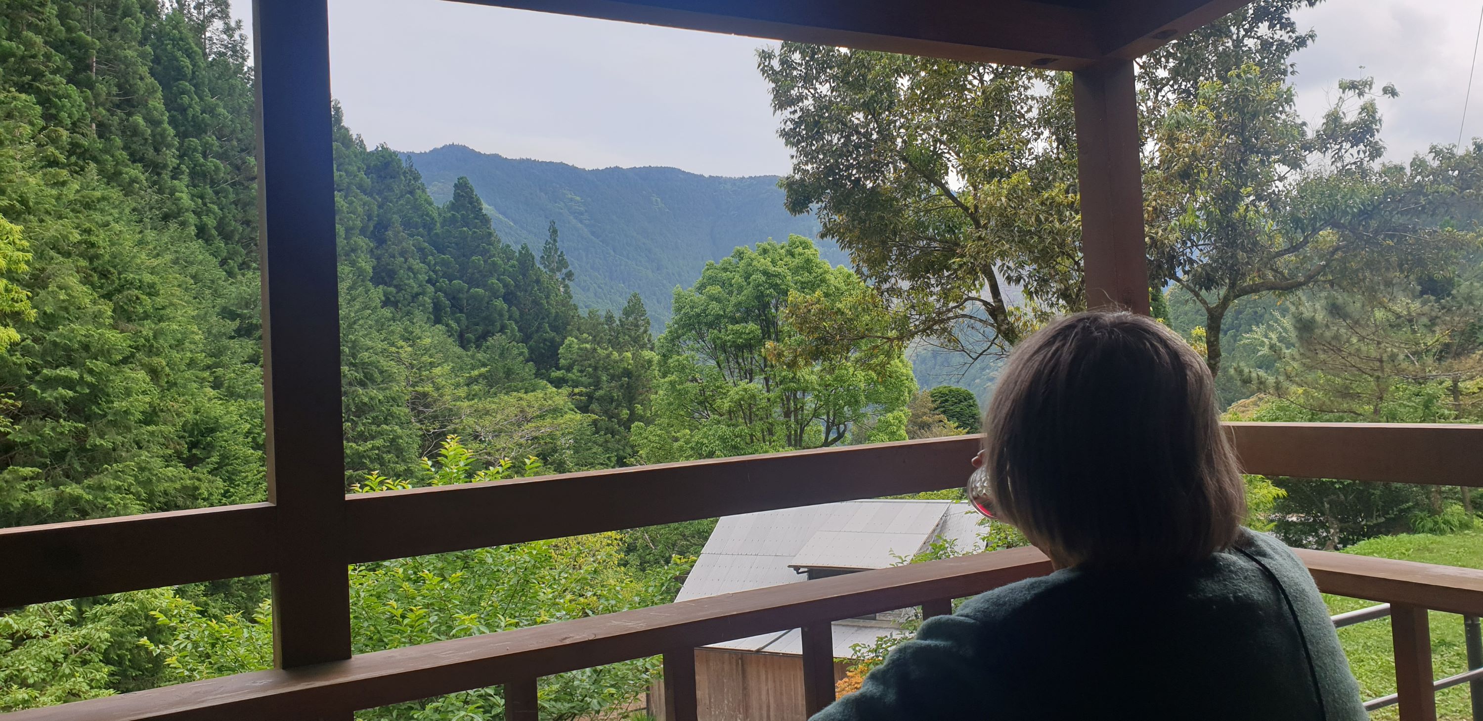 Mountains from a deck